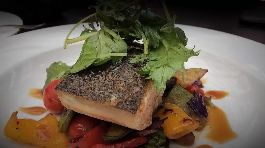 Seared Salmon at Mestizo