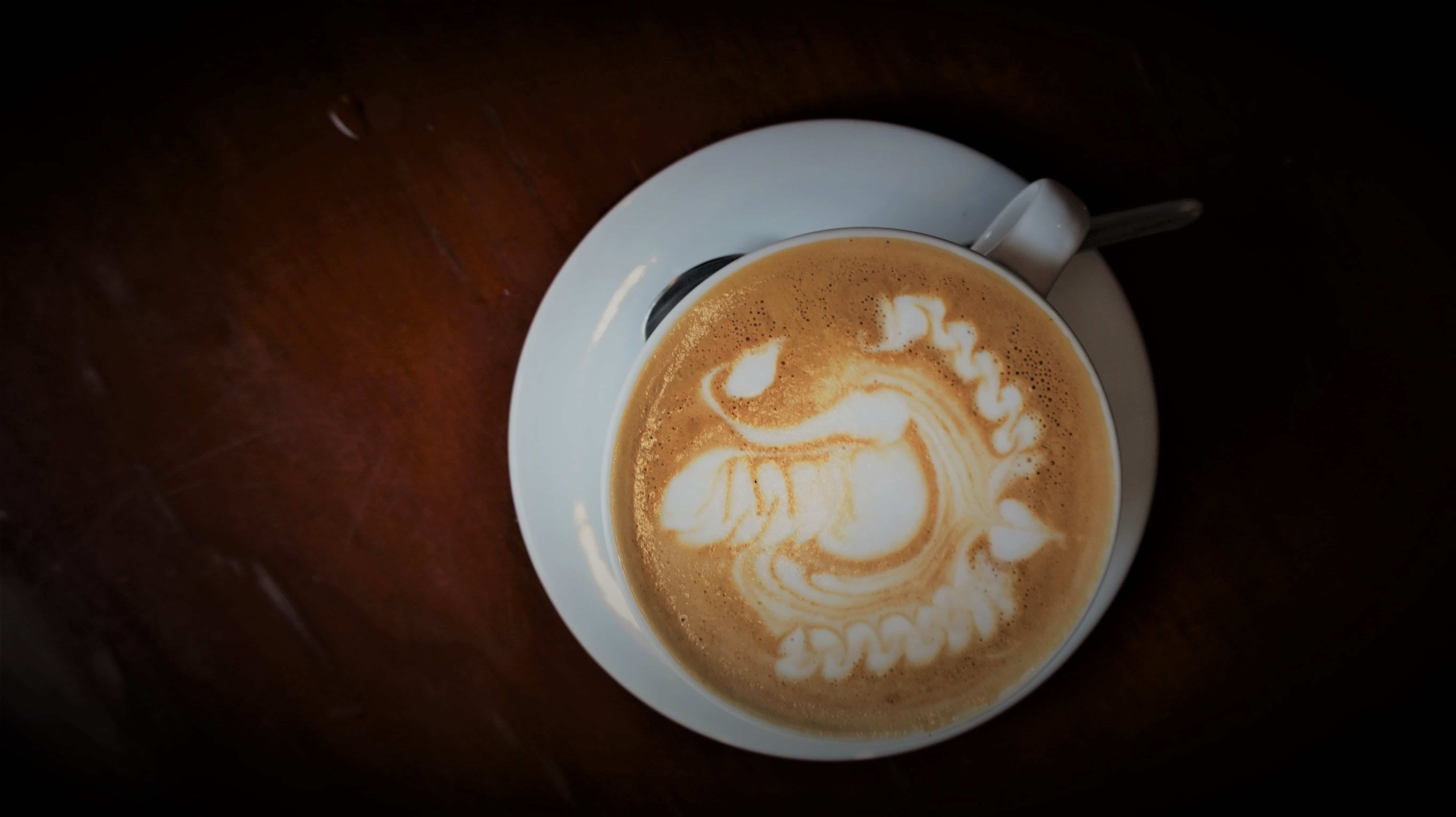 Un cisne nadando en mi taza en Agora Cafe