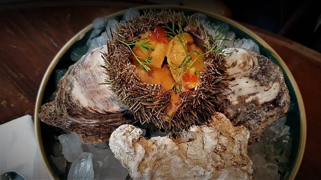 Sea Urchin (Eriza) at Jeronimo