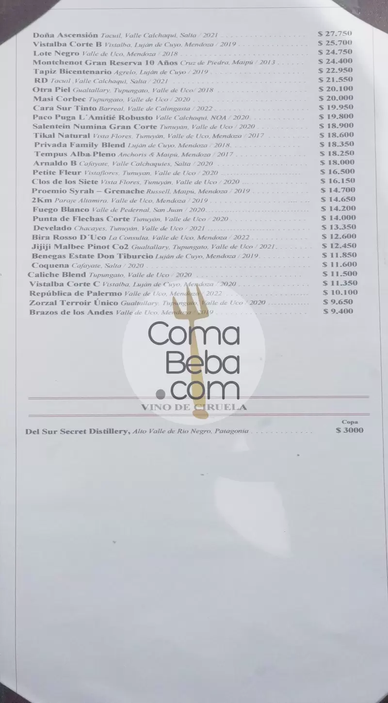 Don Julio Menu p15