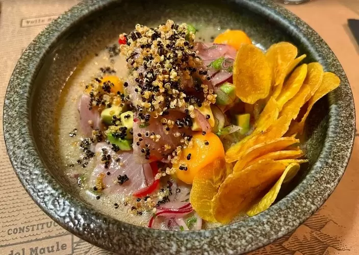 BOCANASAN 51 by Toronto Chiro