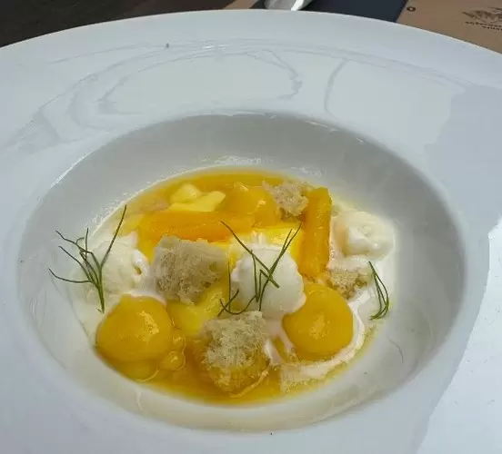 BOCANASAN 81 by Paola Almeida