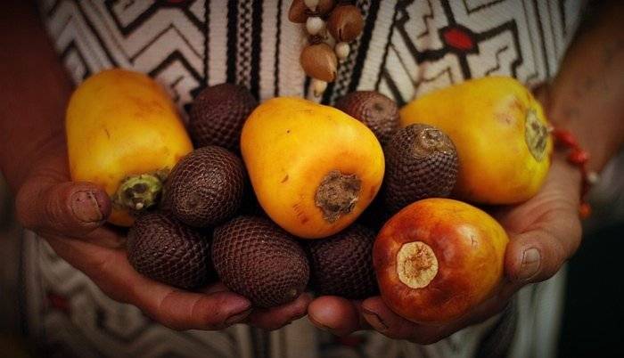 Amazonian-fruits