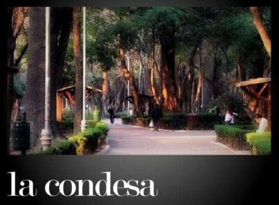 The Best Restaurants in Condesa - Mexico City with updated Menus