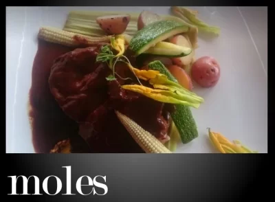 The Best Restaurants serving Mole Dishes in Mexico City with updated Menus