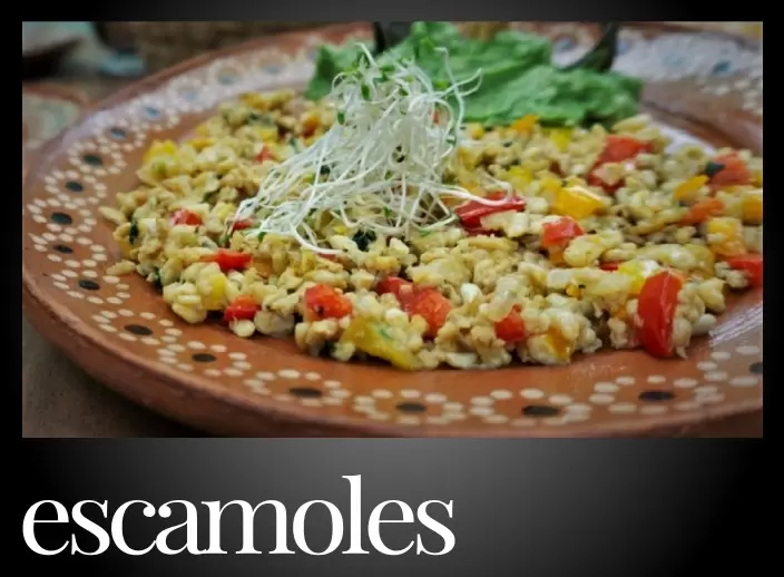 Pointer Gray Escamoles 75pt 704