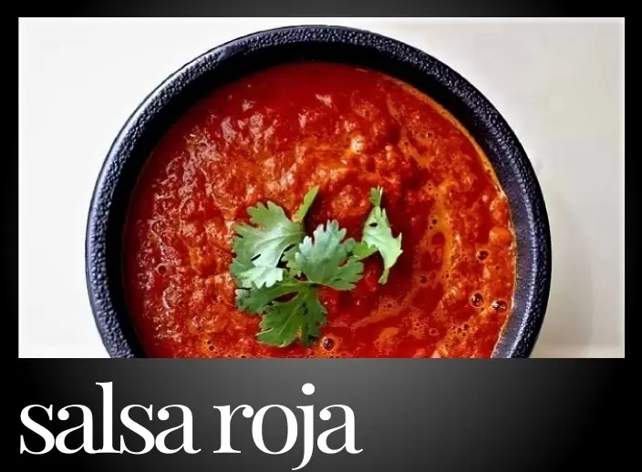 Pointer Gray Salsa Roja 75pt 704