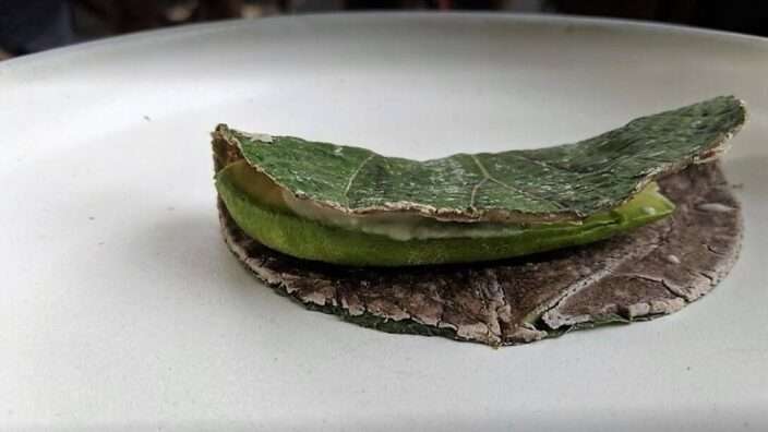 Food and Décor at Molino El Pujol