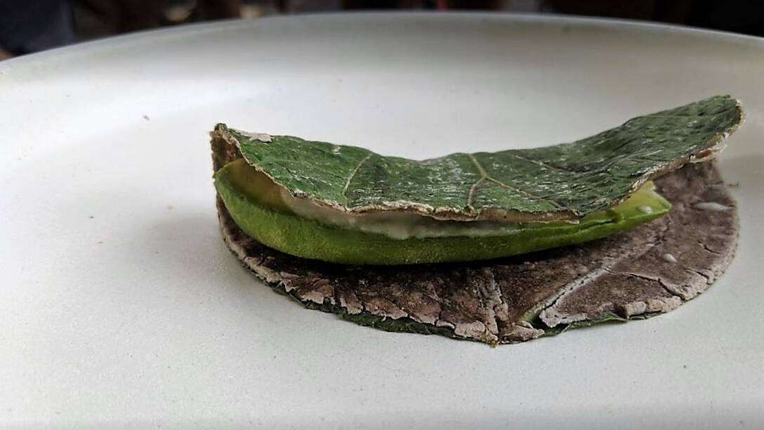 Molino El Pujol – Mexico City